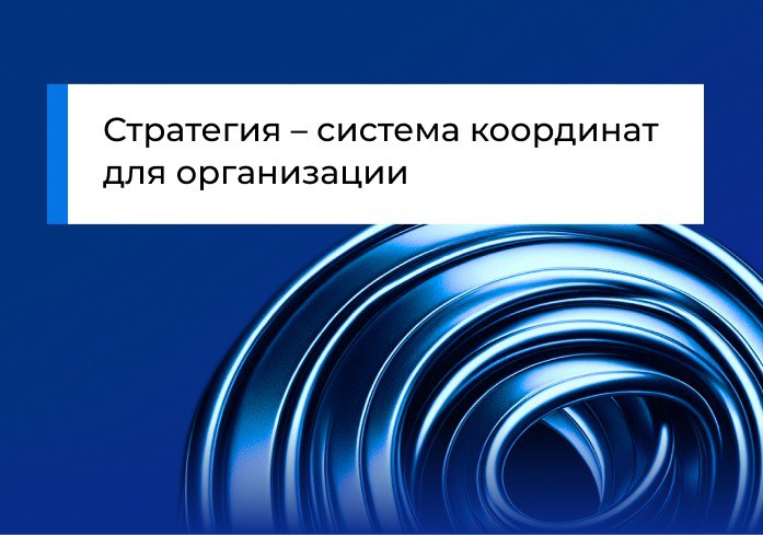 Стратегия – система координат для организации